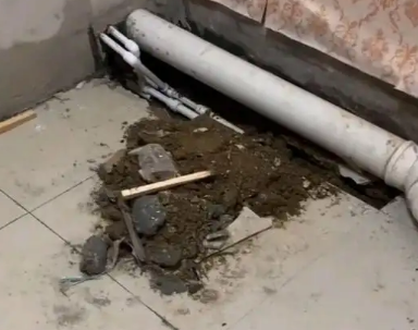 轮台卫生间漏水检测哪家好